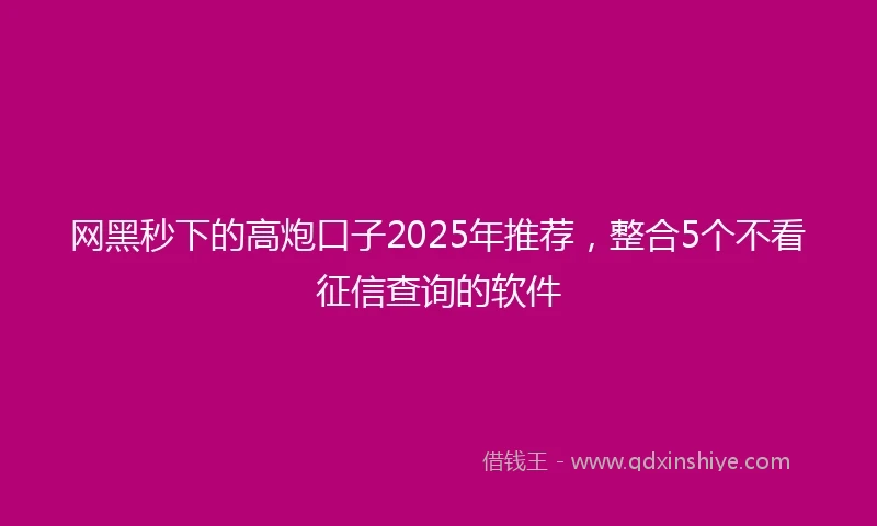 网黑秒下的高炮口子2025年推荐，整合5个不看征信查询的软件