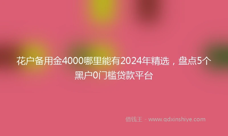 花户备用金4000哪里能有2024年精选，盘点5个黑户0门槛贷款平台