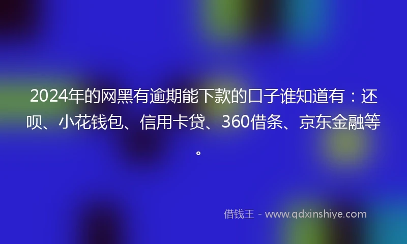 2024年的网黑有逾期能下款的口子谁知道有：还呗、小花钱包、信用卡贷、360借条、京东金融等。