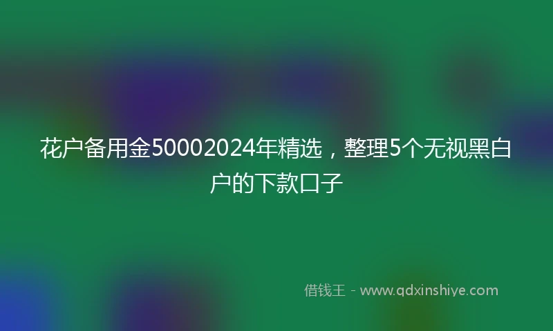花户备用金50002024年精选，整理5个无视黑白户的下款口子