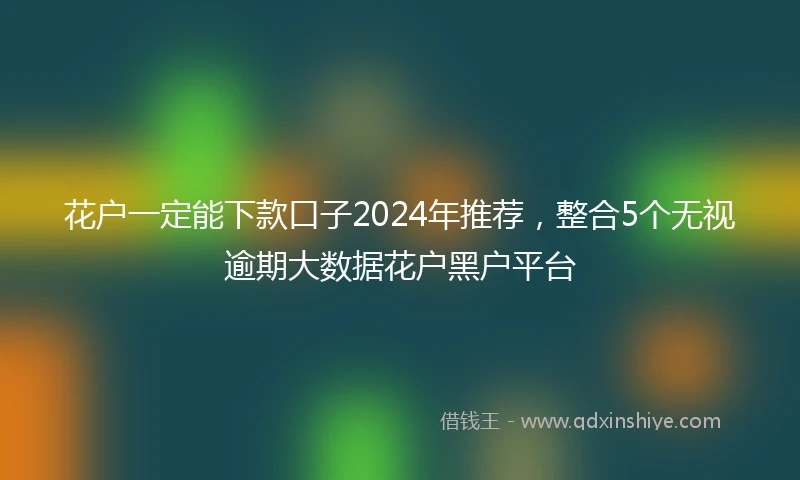 花户一定能下款口子2024年推荐，整合5个无视逾期大数据花户黑户平台