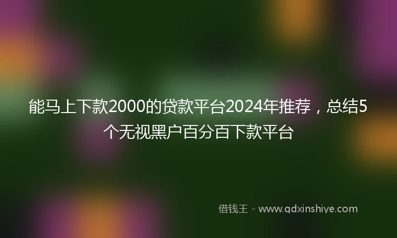 能马上下款2000的贷款平台2024年推荐，总结5个无视黑户百分百下款平台