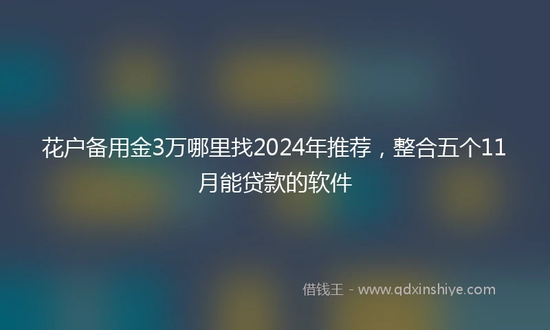 花户备用金3万哪里找2024年推荐，整合五个11月能贷款的软件