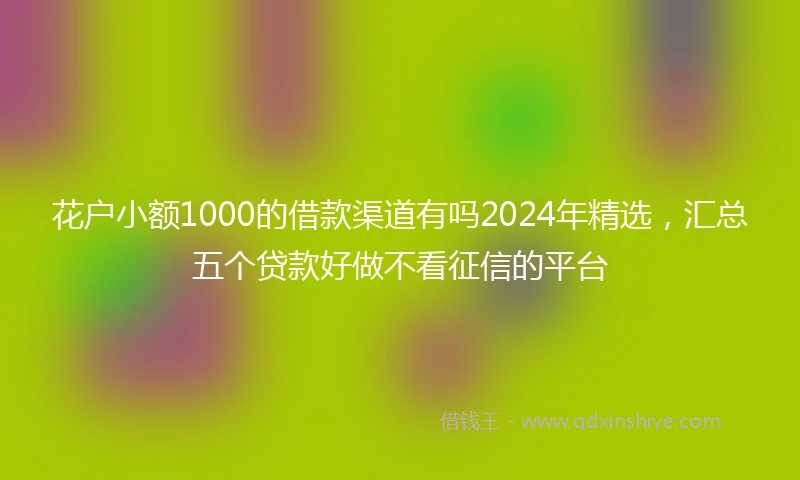花户小额1000的借款渠道有吗2024年精选,汇总五个贷款好做不看征信的平台