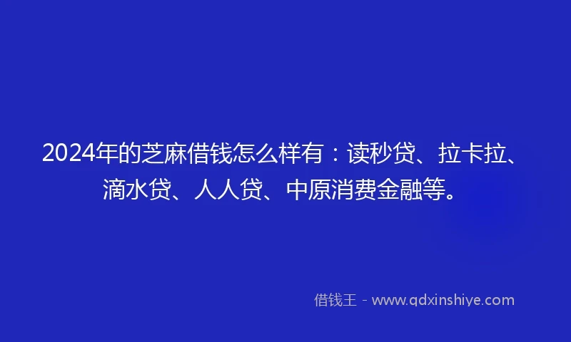 2024年的芝麻借钱怎么样有：读秒贷、拉卡拉、滴水贷、人人贷、中原消费金融等。