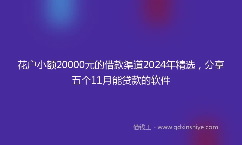 花户小额20000元的借款渠道2024年精选，分享五个11月能贷款的软件