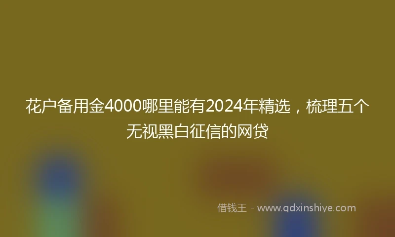花户备用金4000哪里能有2024年精选，梳理五个无视黑白征信的网贷