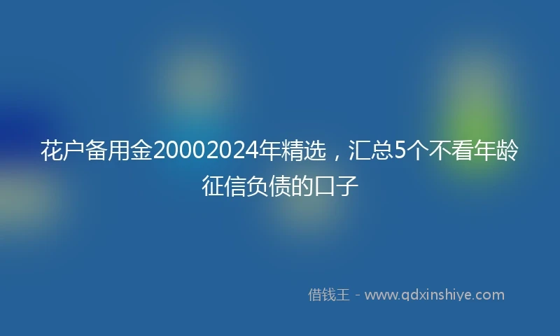 花户备用金20002024年精选，汇总5个不看年龄征信负债的口子
