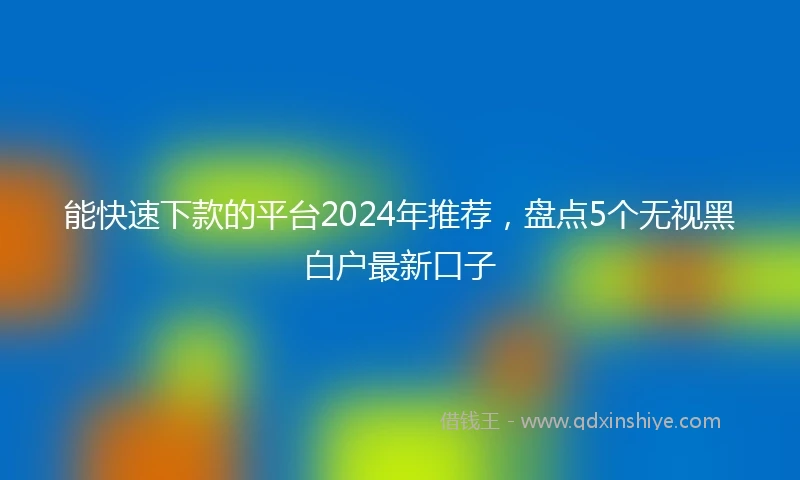 能快速下款的平台2024年推荐，盘点5个无视黑白户最新口子