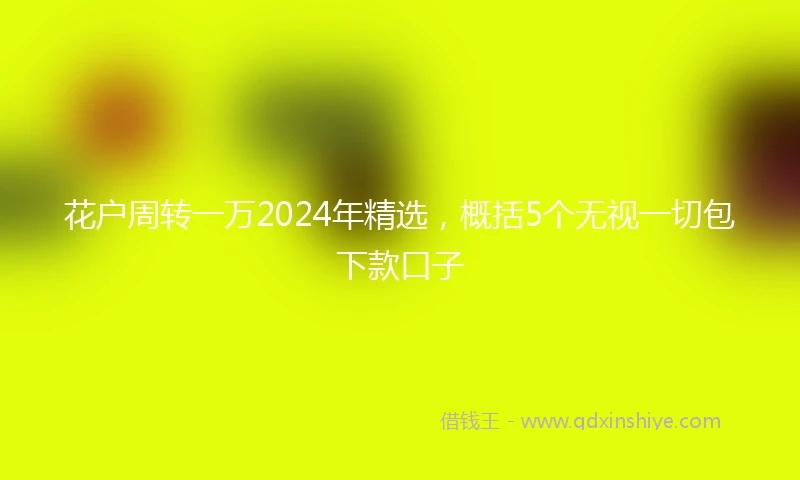 花户周转一万2024年精选，概括5个无视一切包下款口子
