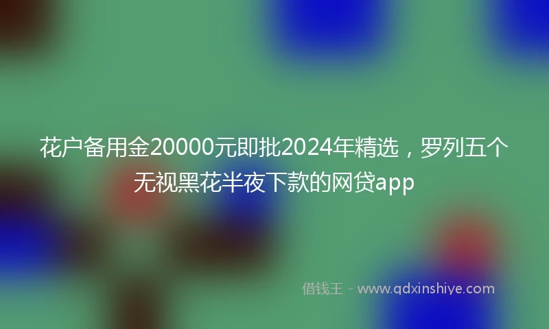 花户备用金20000元即批2024年精选，罗列五个无视黑花半夜下款的网贷app