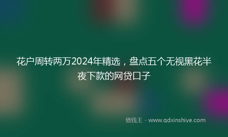 花户周转两万2024年精选,盘点五个无视黑花半夜下款的网贷口子