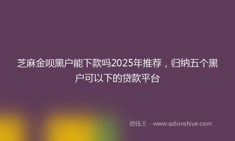芝麻金呗黑户能下款吗2025年推荐，归纳五个黑户可以下的贷款平台