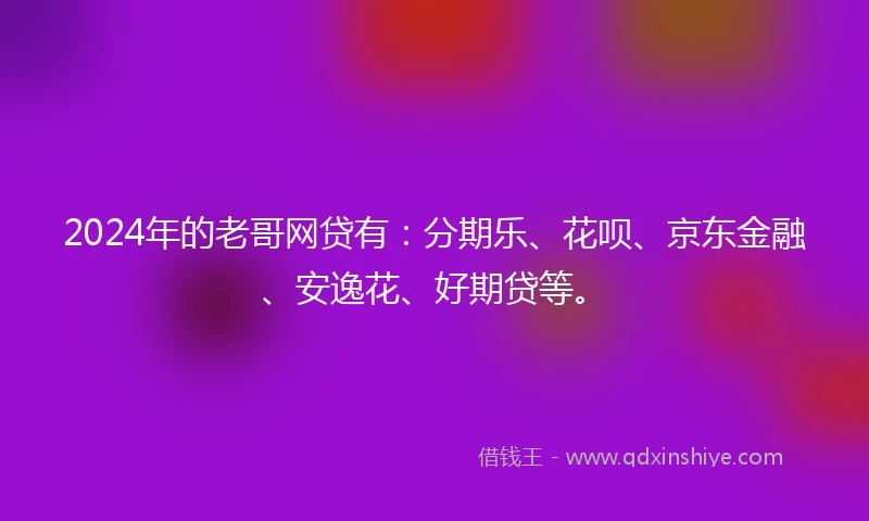 2024年的老哥网贷有：分期乐、花呗、京东金融、安逸花、好期贷等。