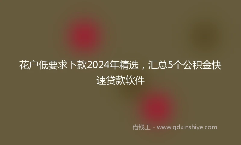 花户低要求下款2024年精选，汇总5个公积金快速贷款软件