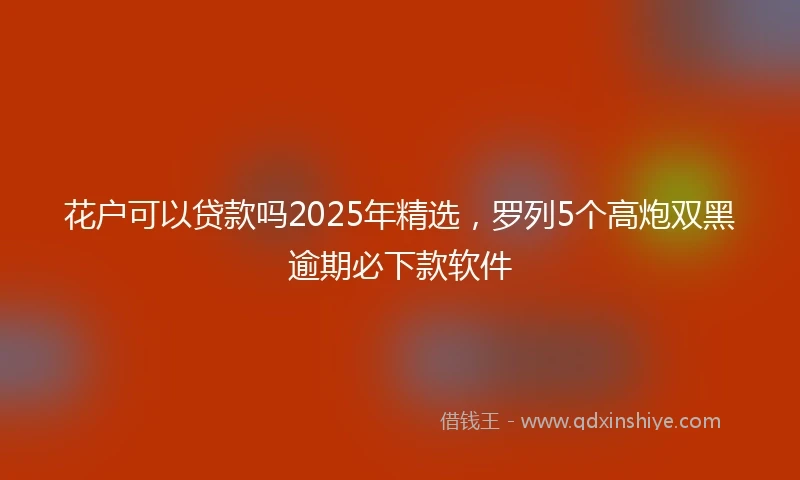花户可以贷款吗2025年精选，罗列5个高炮双黑逾期必下款软件