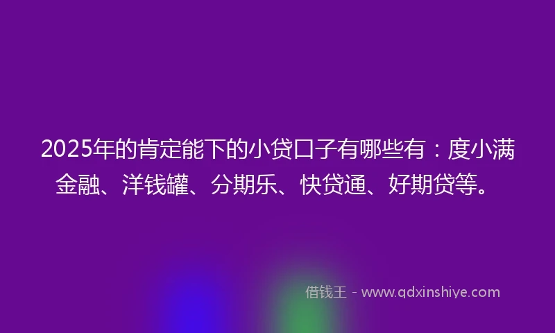 2025年的肯定能下的小贷口子有哪些有：度小满金融、洋钱罐、分期乐、快贷通、好期贷等。