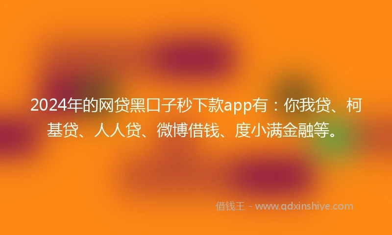 2024年的网贷黑口子秒下款app有：你我贷、柯基贷、人人贷、微博借钱、度小满金融等。