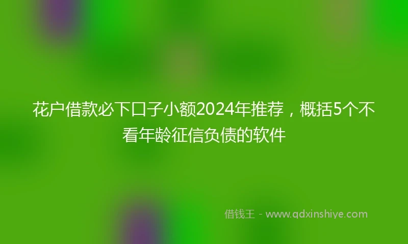 花户借款必下口子小额2024年推荐，概括5个不看年龄征信负债的软件