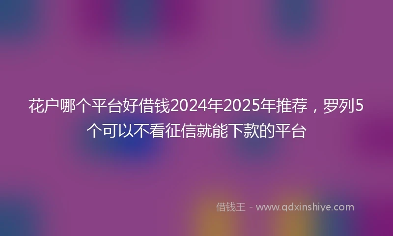 花户哪个平台好借钱2024年2025年推荐，罗列5个可以不看征信就能下款的平台