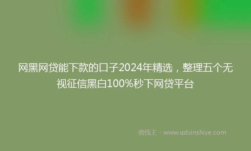 网黑网贷能下款的口子2024年精选，整理五个无视征信黑白100%秒下网贷平台