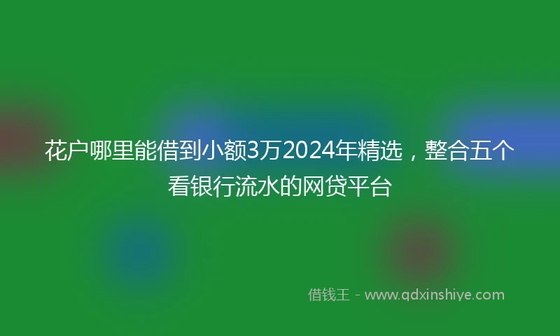 花户哪里能借到小额3万2024年精选，整合五个看银行流水的网贷平台