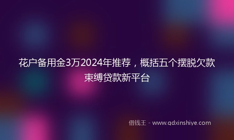 花户备用金3万2024年推荐，概括五个摆脱欠款束缚贷款新平台
