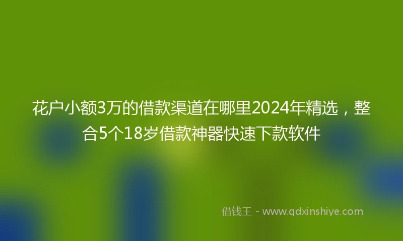 花户小额3万的借款渠道在哪里2024年精选，整合5个18岁借款神器快速下款软件