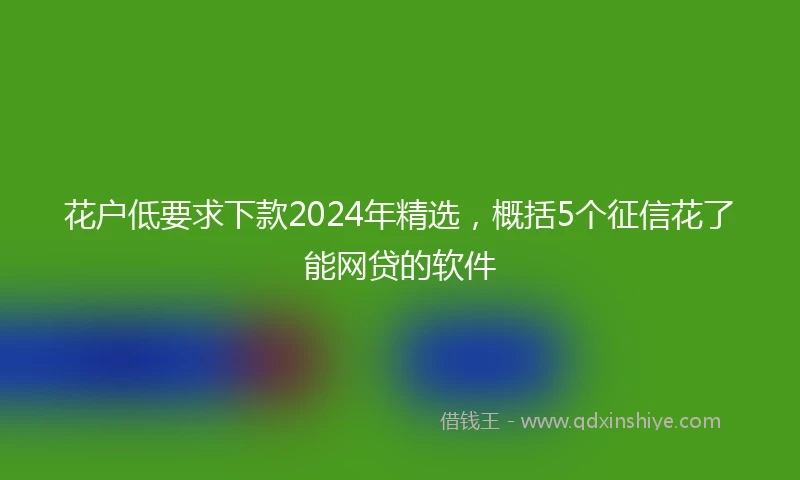 花户低要求下款2024年精选，概括5个征信花了能网贷的软件