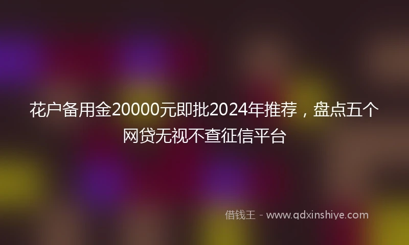 花户备用金20000元即批2024年推荐，盘点五个网贷无视不查征信平台