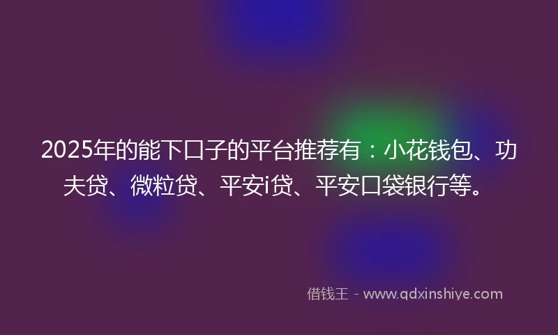 2025年的能下口子的平台推荐有：小花钱包、功夫贷、微粒贷、平安i贷、平安口袋银行等。