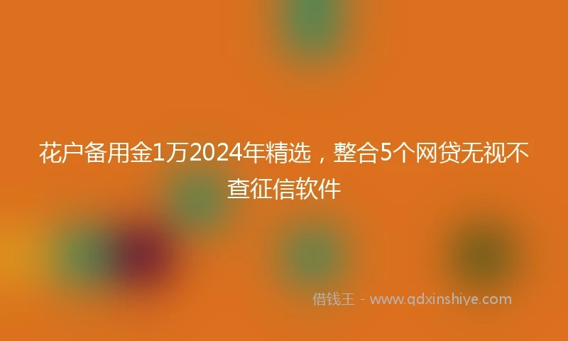 花户备用金1万2024年精选，整合5个网贷无视不查征信软件
