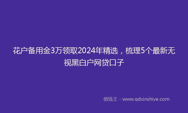 花户备用金3万领取2024年精选，梳理5个最新无视黑白户网贷口子