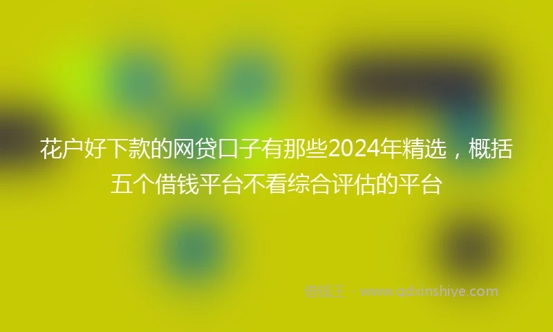 花户好下款的网贷口子有那些2024年精选，概括五个借钱平台不看综合评估的平台