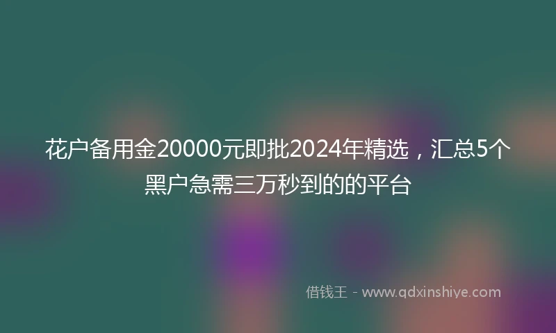 花户备用金20000元即批2024年精选，汇总5个黑户急需三万秒到的的平台