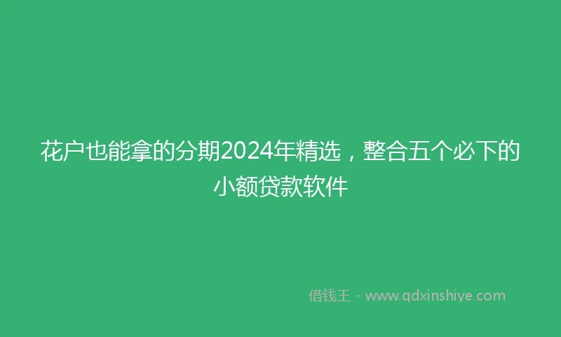 花户也能拿的分期2024年精选，整合五个必下的小额贷款软件