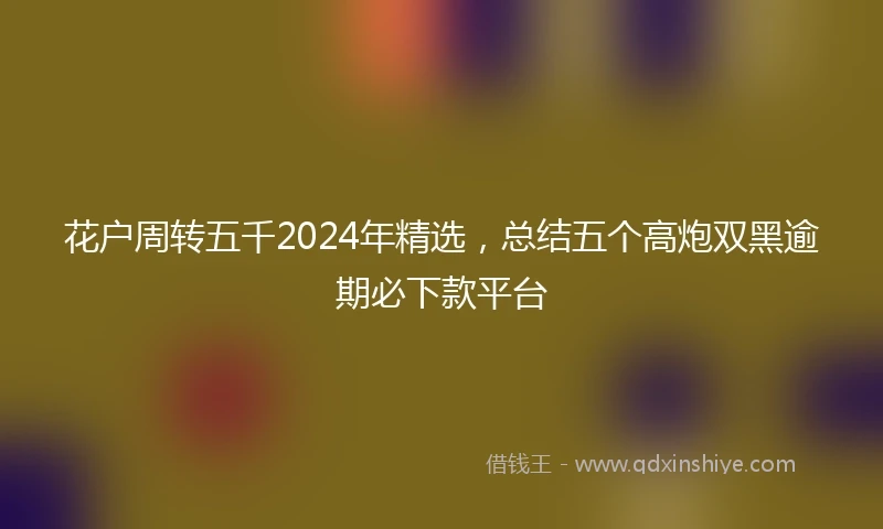 花户周转五千2024年精选，总结五个高炮双黑逾期必下款平台