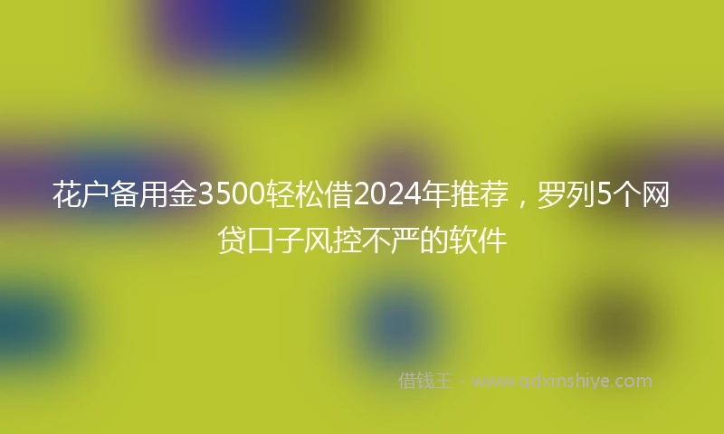 花户备用金3500轻松借2024年推荐，罗列5个网贷口子风控不严的软件
