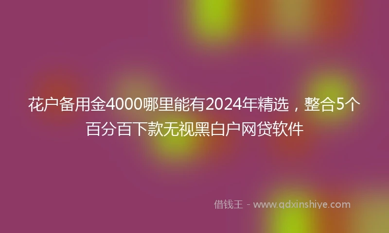 花户备用金4000哪里能有2024年精选，整合5个百分百下款无视黑白户网贷软件