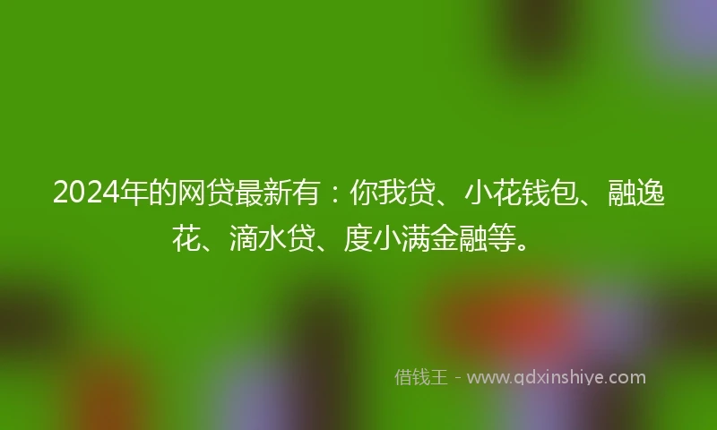 2024年的网贷最新有：你我贷、小花钱包、融逸花、滴水贷、度小满金融等。