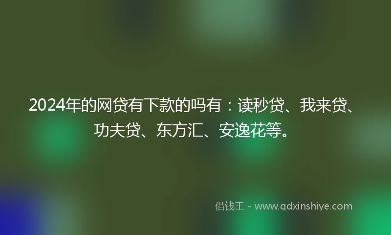 2024年的网贷有下款的吗有：读秒贷、我来贷、功夫贷、东方汇、安逸花等。