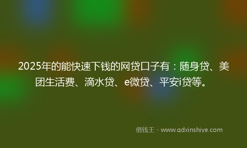 2025年的能快速下钱的网贷口子有：随身贷、美团生活费、滴水贷、e微贷、平安i贷等。