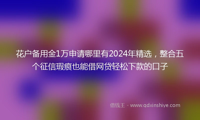 花户备用金1万申请哪里有2024年精选，整合五个征信瑕疵也能借网贷轻松下款的口子