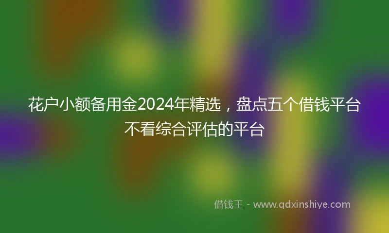 花户小额备用金2024年精选，盘点五个借钱平台不看综合评估的平台