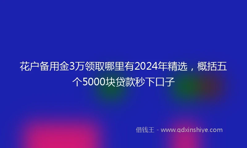 花户备用金3万领取哪里有2024年精选，概括五个5000块贷款秒下口子