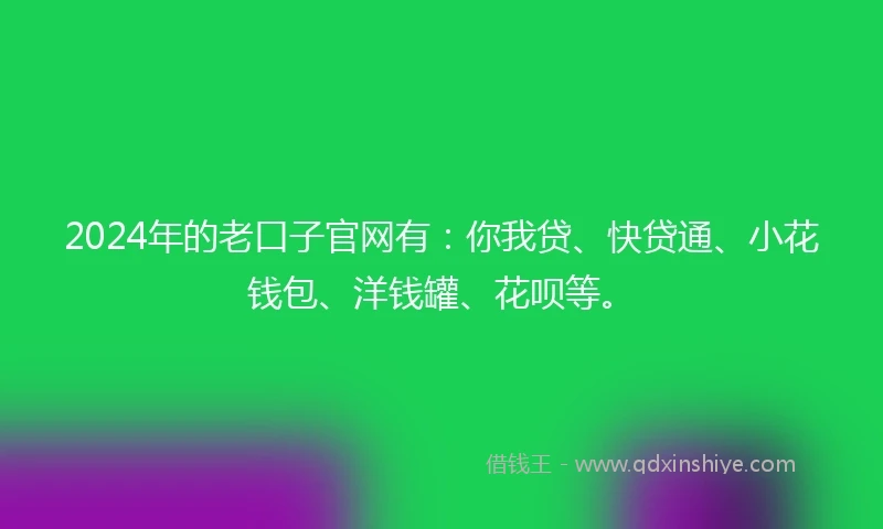 2024年的老口子官网有：你我贷、快贷通、小花钱包、洋钱罐、花呗等。
