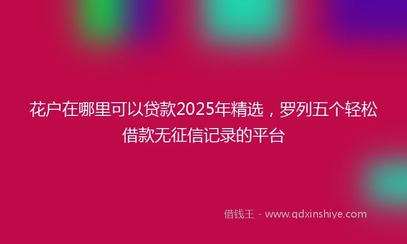 花户在哪里可以贷款2025年精选,罗列五个轻松借款无征信记录的平台