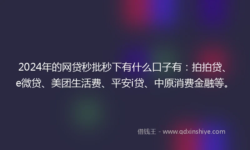 2024年的网贷秒批秒下有什么口子有：拍拍贷、e微贷、美团生活费、平安i贷、中原消费金融等。