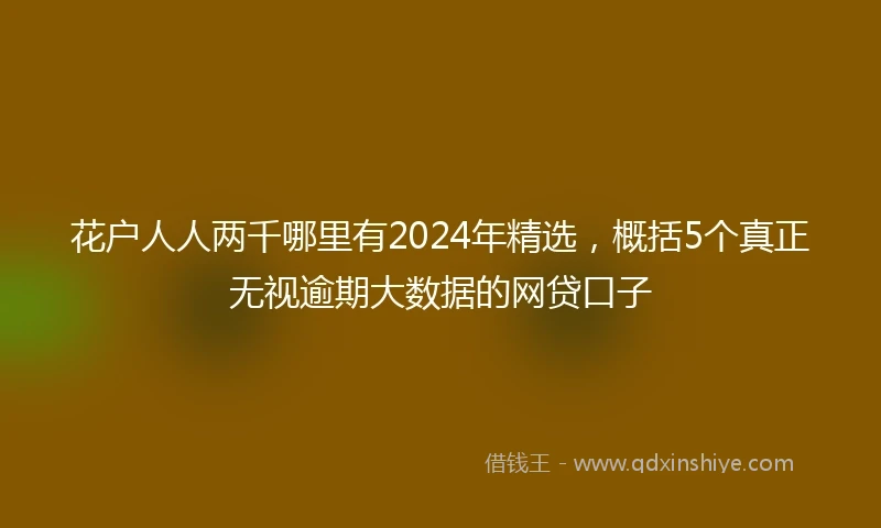 花户人人两千哪里有2024年精选，概括5个真正无视逾期大数据的网贷口子