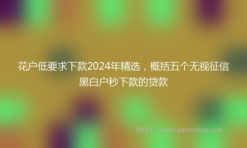 花户低要求下款2024年精选，概括五个无视征信黑白户秒下款的贷款